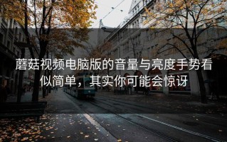 蘑菇视频电脑版的音量与亮度手势看似简单，其实你可能会惊讶