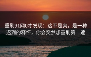 重刷91网0才发现：这不是爽，是一种迟到的释怀，你会突然想重刷第二遍