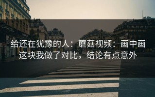 给还在犹豫的人：蘑菇视频：画中画这块我做了对比，结论有点意外