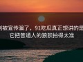 别被宣传骗了，91吃瓜真正想讲的是：它把普通人的狼狈拍得太准