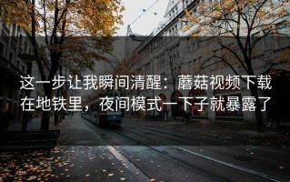这一步让我瞬间清醒：蘑菇视频下载在地铁里，夜间模式一下子就暴露了