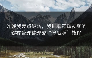 昨晚我差点破防，我把蘑菇短视频的缓存管理整理成“傻瓜版”教程