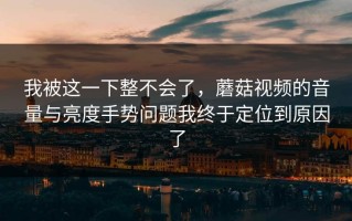 我被这一下整不会了，蘑菇视频的音量与亮度手势问题我终于定位到原因了