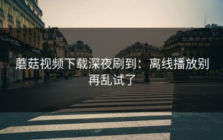 蘑菇视频下载深夜刷到：离线播放别再乱试了