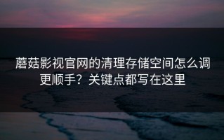 蘑菇影视官网的清理存储空间怎么调更顺手？关键点都写在这里