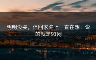 明明没哭，但回家路上一直在想：说的就是91网
