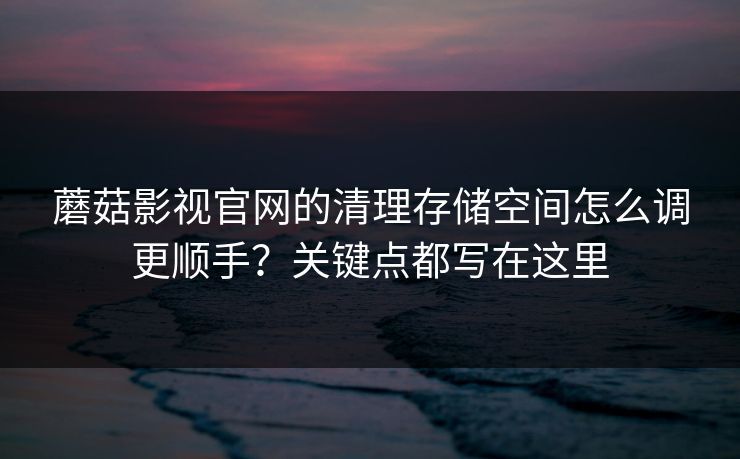 蘑菇影视官网的清理存储空间怎么调更顺手？关键点都写在这里-第1张图片-蘑菇视频电脑版 - 网页端高清观看神器