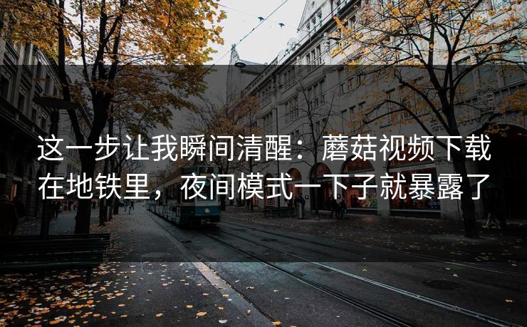 这一步让我瞬间清醒：蘑菇视频下载在地铁里，夜间模式一下子就暴露了-第1张图片-蘑菇视频电脑版 - 网页端高清观看神器