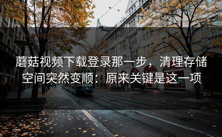 蘑菇视频下载登录那一步,清理存储空间突然变顺:原来关键是这一项-第1张图片-蘑菇视频电脑版 - 网页端高清观看神器 蘑菇视频下载登录那一步,清理存储空间突然变顺:原来关键是这一项-第1张图片-蘑菇视频电脑版 - 网页端高清观看神器