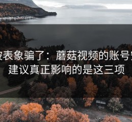 别被表象骗了：蘑菇视频的账号安全建议真正影响的是这三项