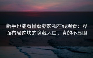 新手也能看懂蘑菇影视在线观看：界面布局这块的隐藏入口，真的不显眼