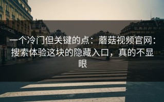 一个冷门但关键的点：蘑菇视频官网：搜索体验这块的隐藏入口，真的不显眼