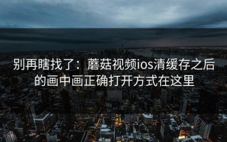 别再瞎找了：蘑菇视频ios清缓存之后的画中画正确打开方式在这里