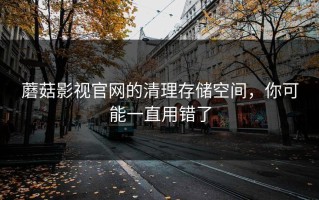 蘑菇影视官网的清理存储空间，你可能一直用错了