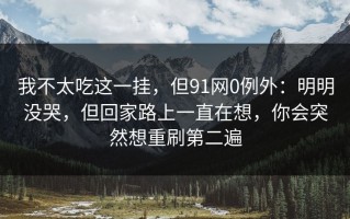 我不太吃这一挂，但91网0例外：明明没哭，但回家路上一直在想，你会突然想重刷第二遍