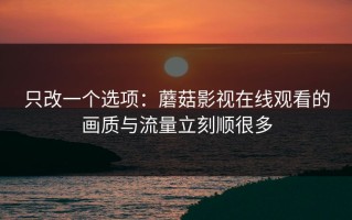 只改一个选项：蘑菇影视在线观看的画质与流量立刻顺很多