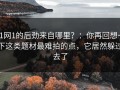 91网1的后劲来自哪里？：你再回想一下这类题材最难拍的点，它居然躲过去了