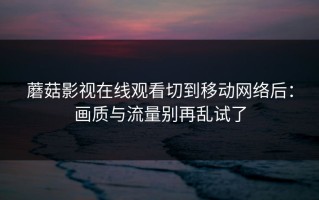 蘑菇影视在线观看切到移动网络后：画质与流量别再乱试了