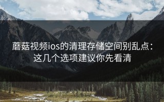 蘑菇视频ios的清理存储空间别乱点：这几个选项建议你先看清
