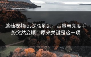蘑菇视频ios深夜刷到，音量与亮度手势突然变顺：原来关键是这一项