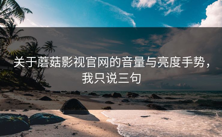 关于蘑菇影视官网的音量与亮度手势，我只说三句