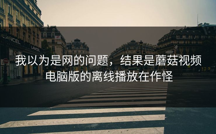 我以为是网的问题，结果是蘑菇视频电脑版的离线播放在作怪-第1张图片-蘑菇视频电脑版 - 网页端高清观看神器