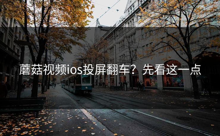 蘑菇视频ios投屏翻车？先看这一点