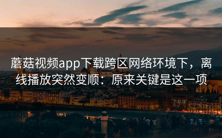 蘑菇视频app下载跨区网络环境下，离线播放突然变顺：原来关键是这一项